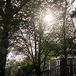 Sweets - Scharrebiersluis Amsterdam